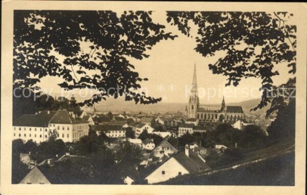 Linz Donau Stadtbild mit Maria Empfängnis Dom