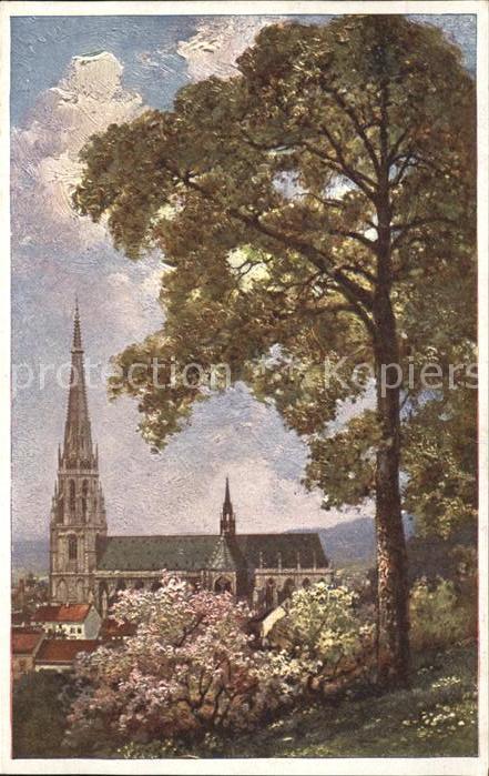 Linz Donau Maria Empfängnis Dom Baumblüte Künstler