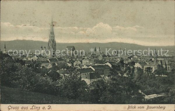 Linz Donau Stadtansicht mit Kirche Blick vom Bauer