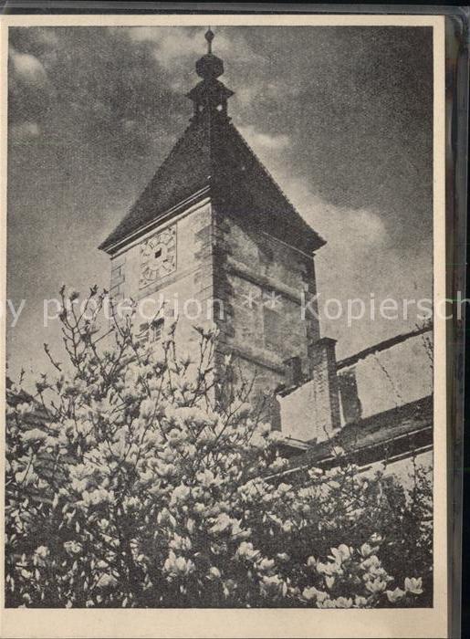 Wels Oberoesterreich Ledererturm