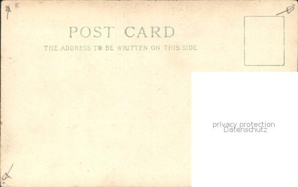 Pferde – Bild 2