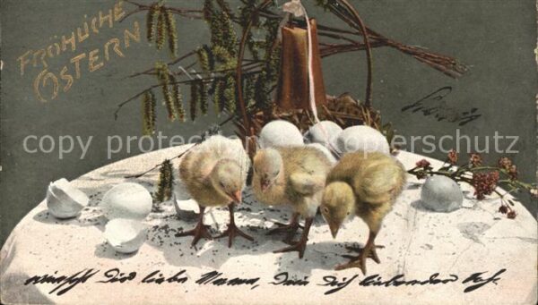 Ostern Easter Paques Küken