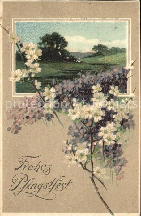 Pfingsten Pentecost Pentecote Blumen
