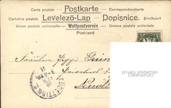 Harfe Frau Tauben – Bild 2