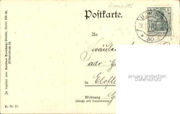 Scherenschnitt Schattenbildkarte Carus Nr. 57 Kind Pferd Blumen – Bild 2
