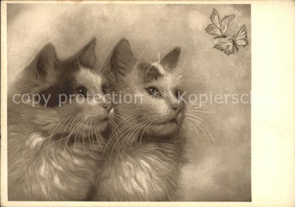 Katzen Schmetterlinge