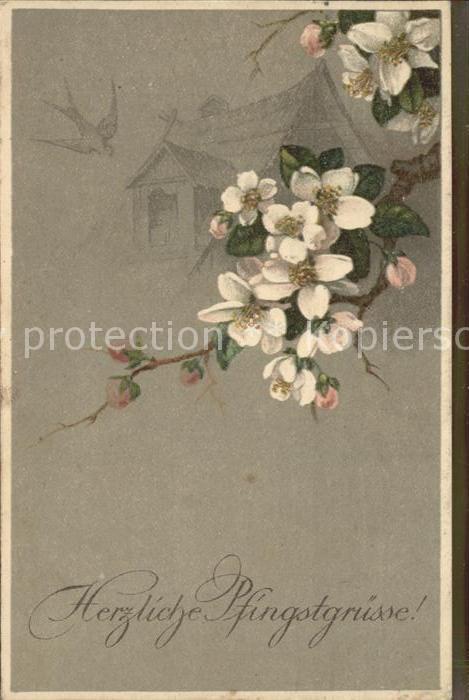 Pfingsten Pentecost Pentecote Blumen Schwalbe