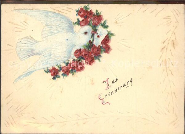 Brieftaube Carrier Pigeon voyageur Rosen