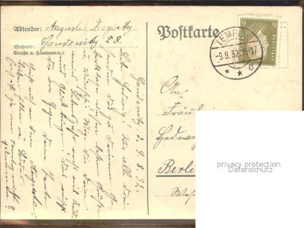 Brieftaube Carrier Pigeon voyageur Rosen – Bild 2