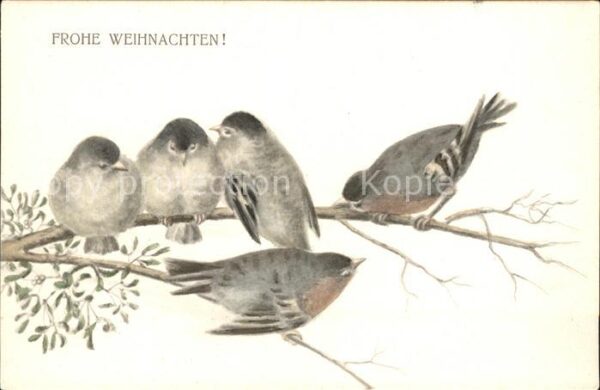 Weihnachten Vögel