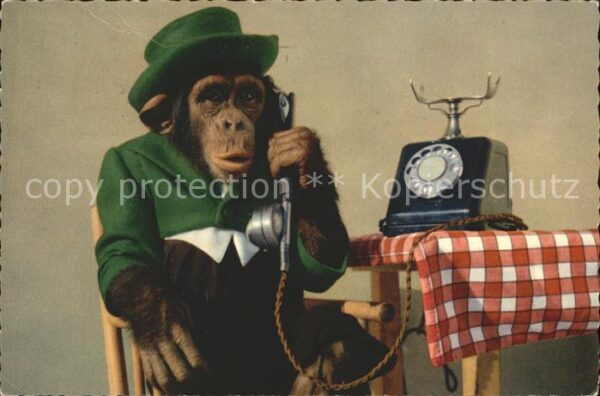 Affen Telefon Hut