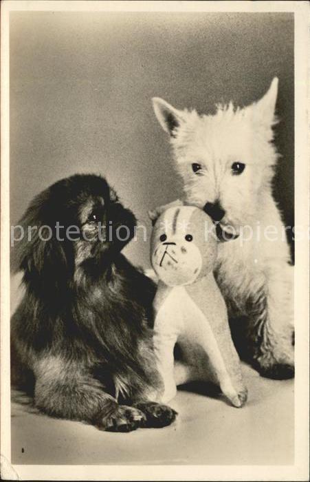 Hunde Kuscheltier