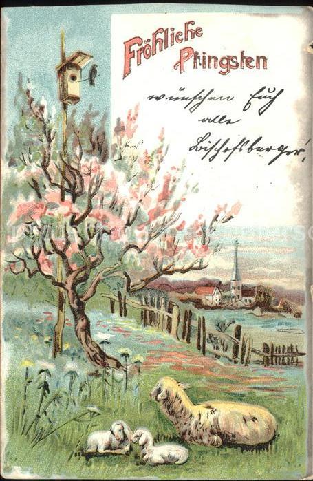 Pfingsten Pentecost Pentecote Schafe Baum Kirche