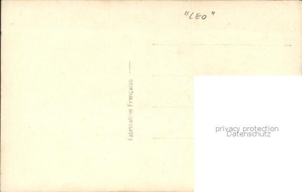 Foto LEO Nr. 363 Liebespaar Instrument – Bild 2