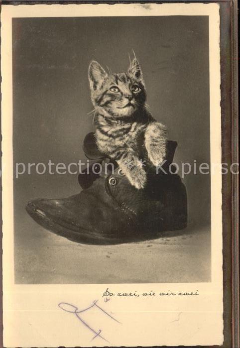 Verlag Amag Nr. 65119/2 Katze Schuh