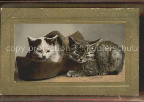Katzen Holzschuh