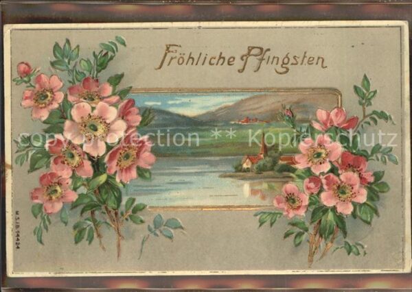 Pfingsten Pentecost Pentecote Blumen