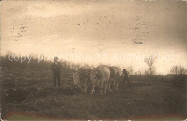 Landwirtschaft Kuhwagen