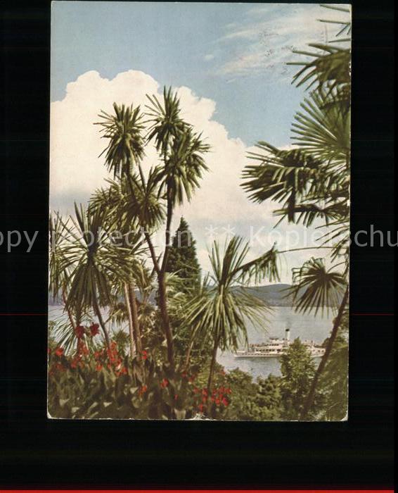 Insel Mainau Drachengruppe Blick auf Bodensee Dampfe