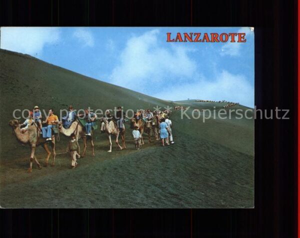 Lanzarote Kanarische Inseln Montana de Fuego Caravana de camellos K