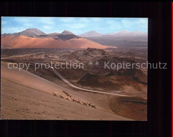 Lanzarote Kanarische Inseln Montana de Fuego Caravana de camellos K