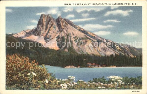 Burgess Emerald Lake And MT. im Yoho National-P
