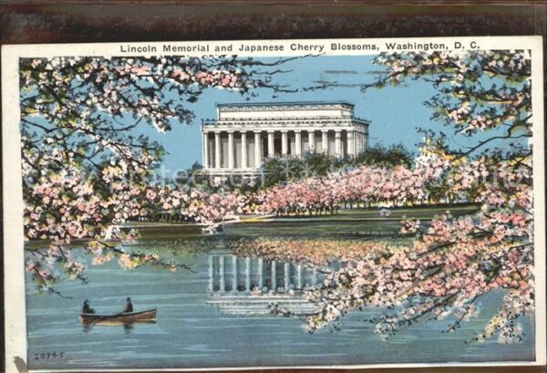 Washington DC Lincoln Memorial and Japanese Blossoms