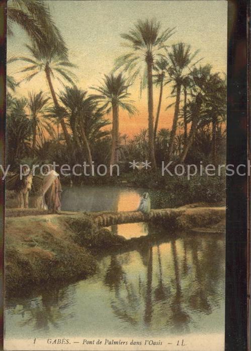 Gabes Pont de Palmiers dans L_Oasis