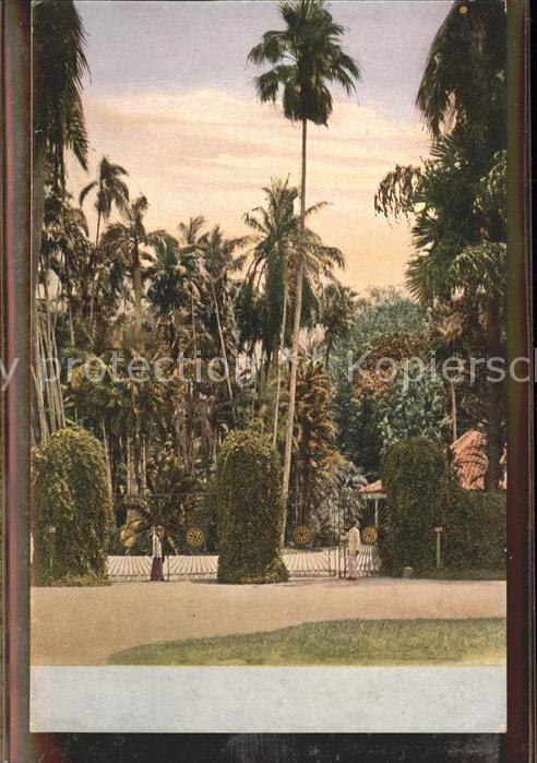 Ceylon Sri Lanka Parkanlagen