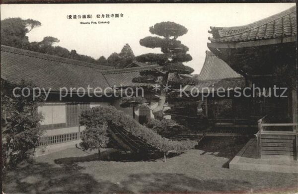 Kyoto Rikushu Pine Kinkakuji