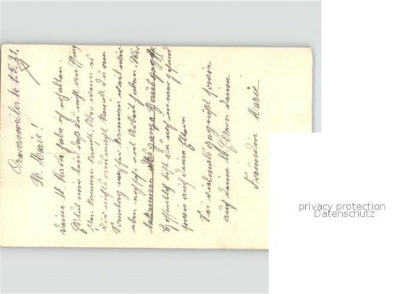 Rosen – Bild 2