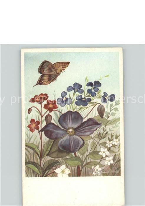 Schmetterlinge Blumen