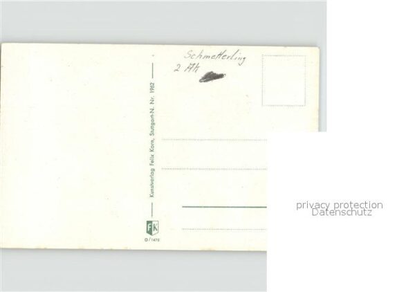 Schmetterlinge Blumen – Bild 2