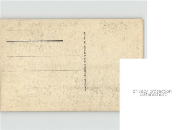 Rosen – Bild 2