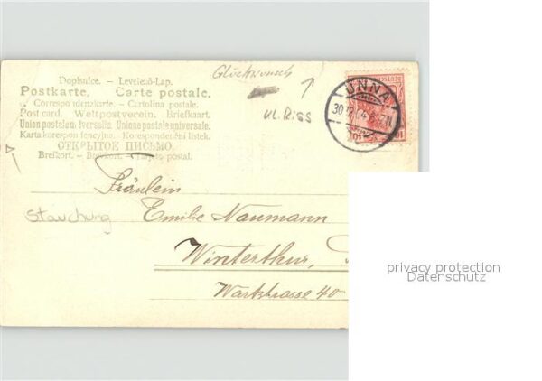 Glueckwunsch Kleeblatt Marienkäfer – Bild 2