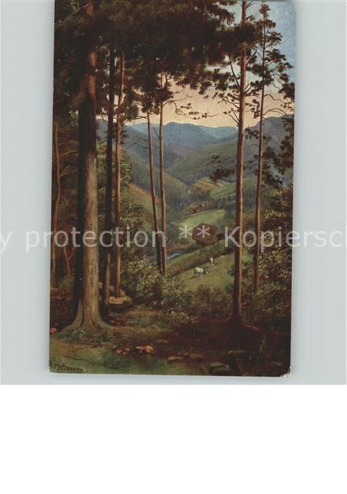 Hoffmann Heinrich Künstlerkarte Nr.186 Wald