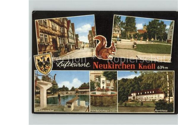 Neukirchen Knuellgebirge Luftkurort Eichhorn Wappen