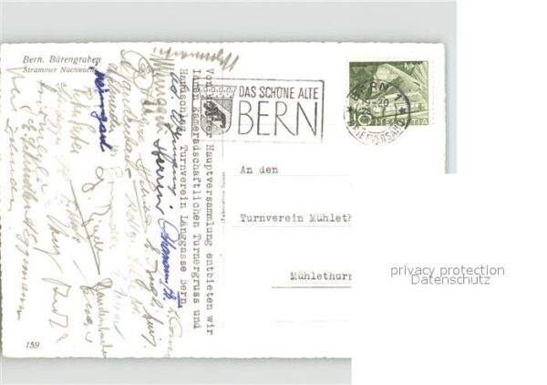 Tiere Bern Bären – Bild 2
