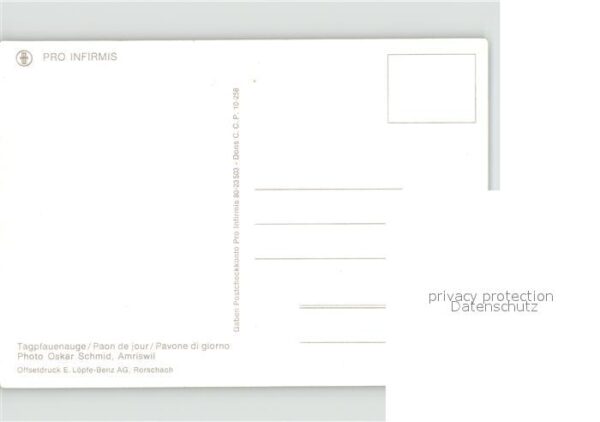 Schmetterlinge Tagpfauenauge – Bild 2