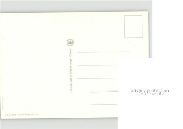 Blumen – Bild 2
