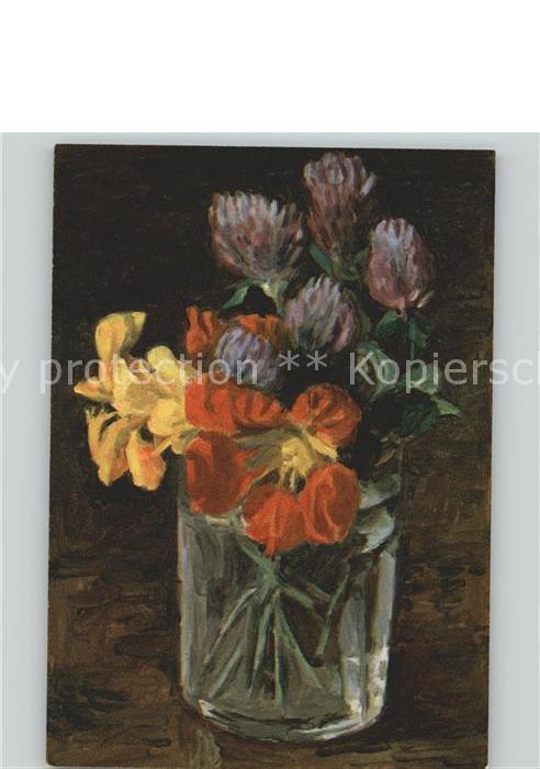 Blumen Kapuziner