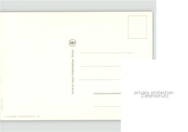 Blumen – Bild 2