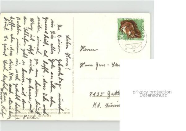 Blumen – Bild 2