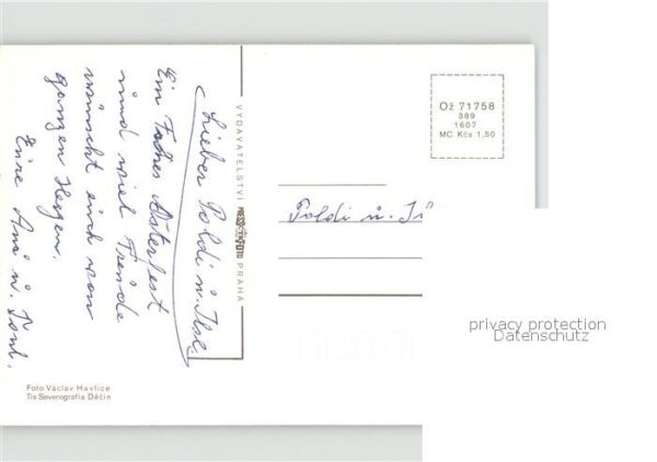 Rosen – Bild 2