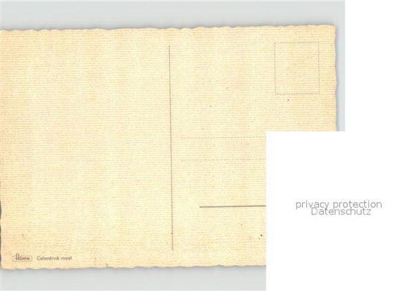 Rosen – Bild 2