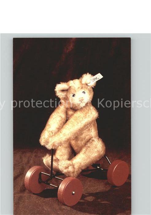 Teddy Teddybaer Teddy-bear