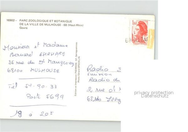Voegel Goura – Bild 2