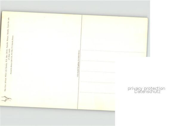 Voegel – Bild 2