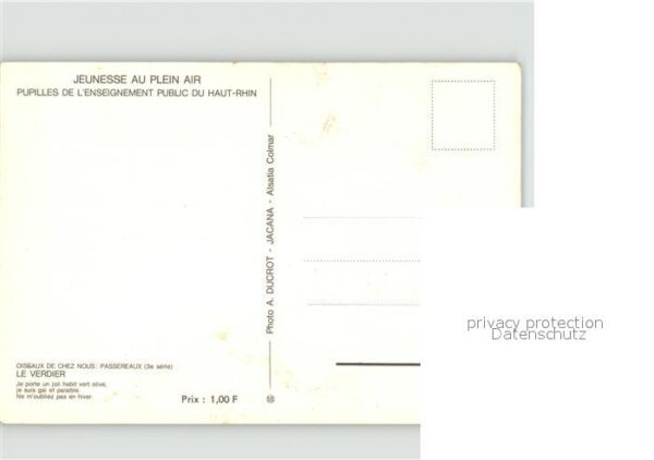 Voegel – Bild 2