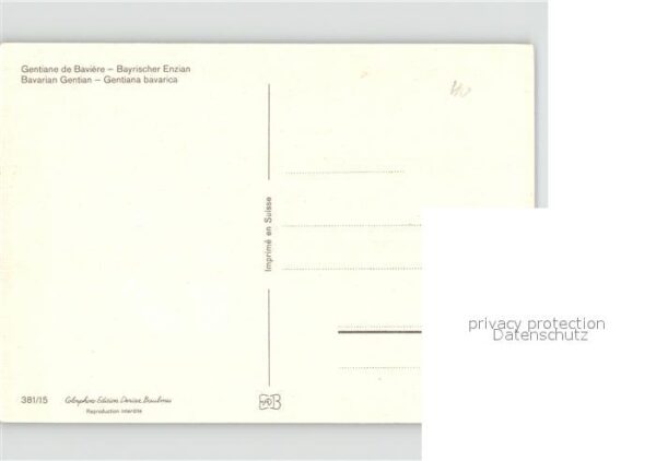 Blumen – Bild 2